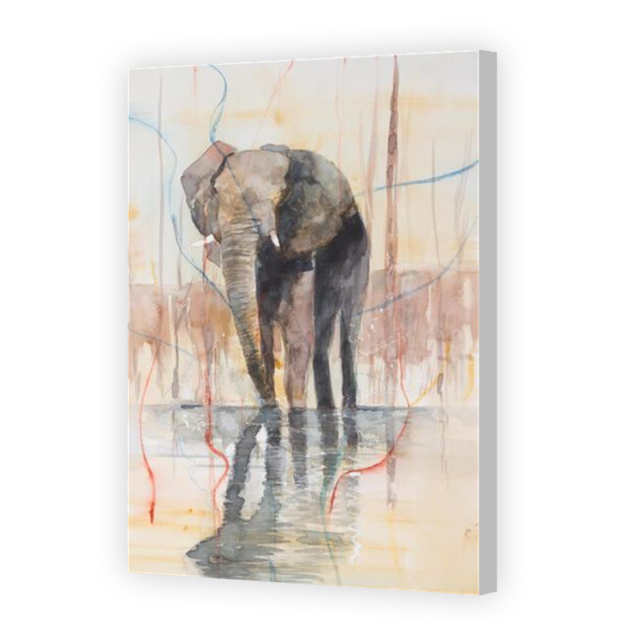 Thumbnail for Canvas - Coloured Canvas Wrap