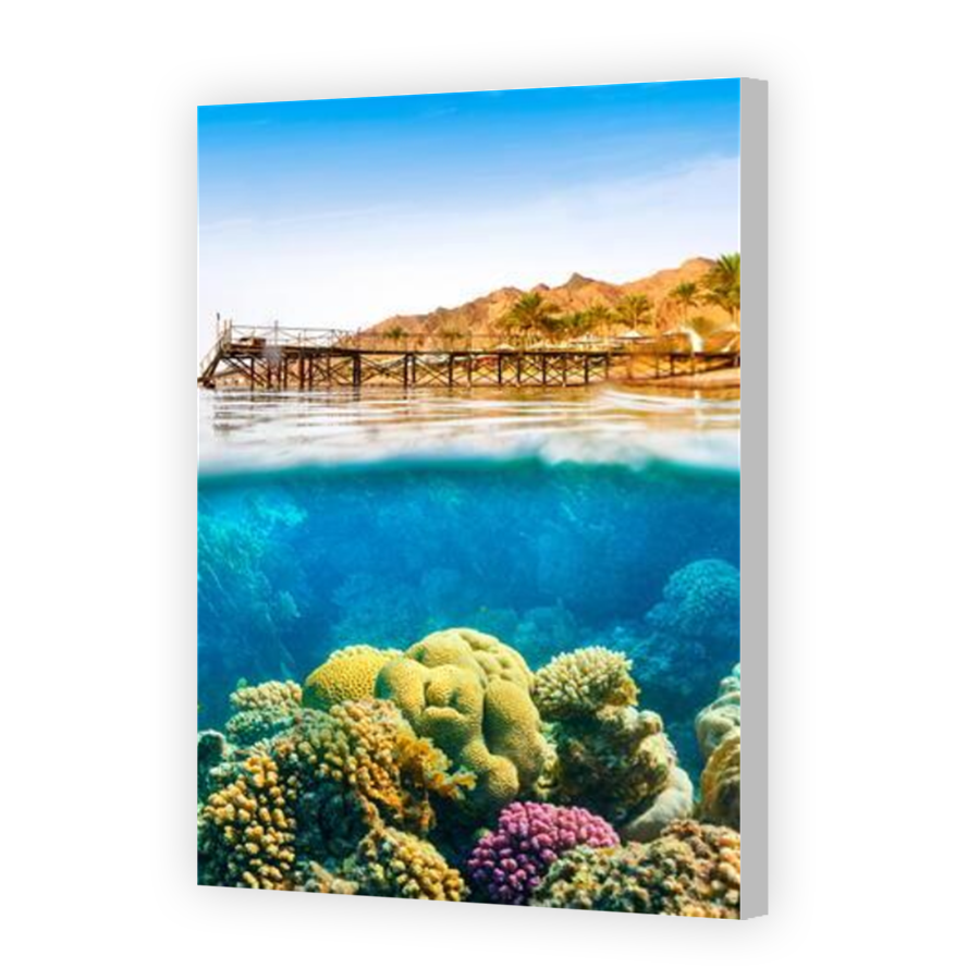 Thumbnail for Canvas - Coloured Canvas Wrap