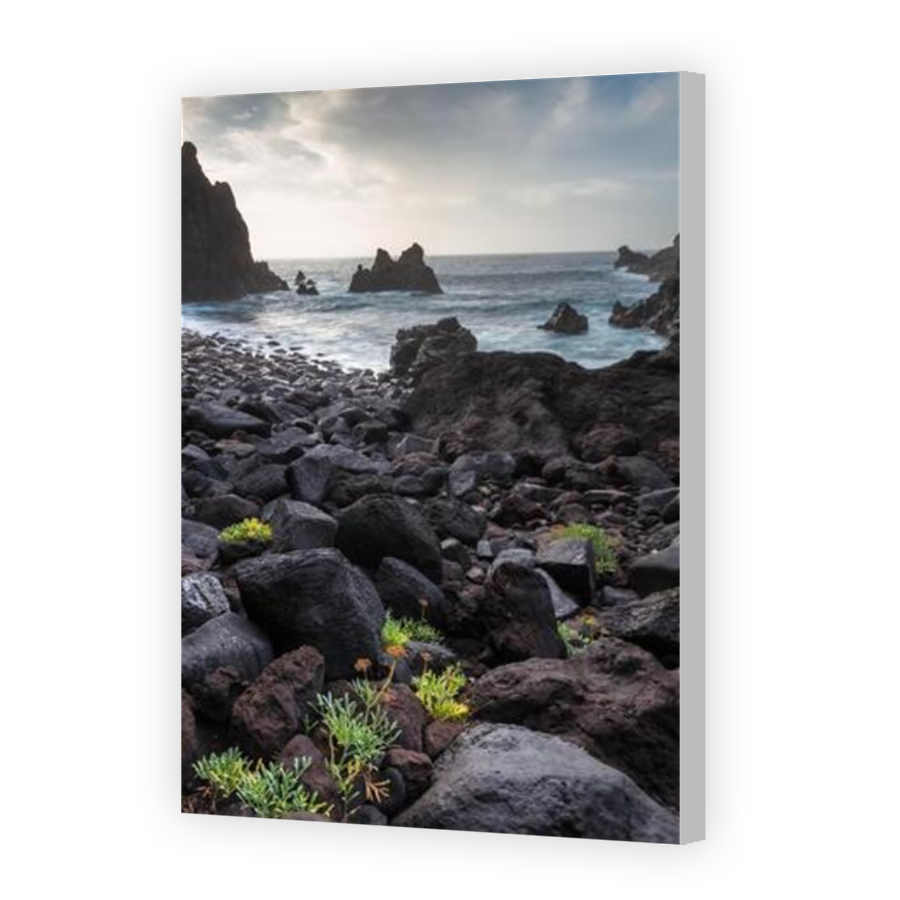 Thumbnail for Canvas - Coloured Canvas Wrap
