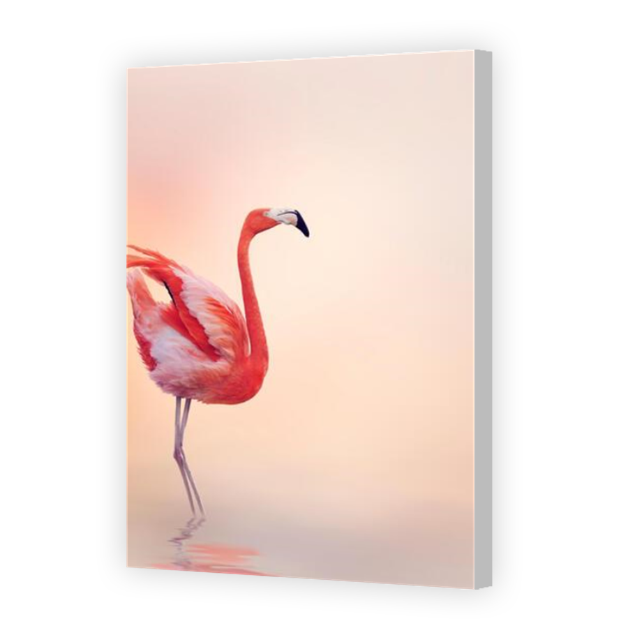 Thumbnail for Canvas - Coloured Canvas Wrap