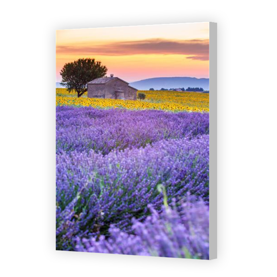 Thumbnail for Canvas - Coloured Canvas Wrap