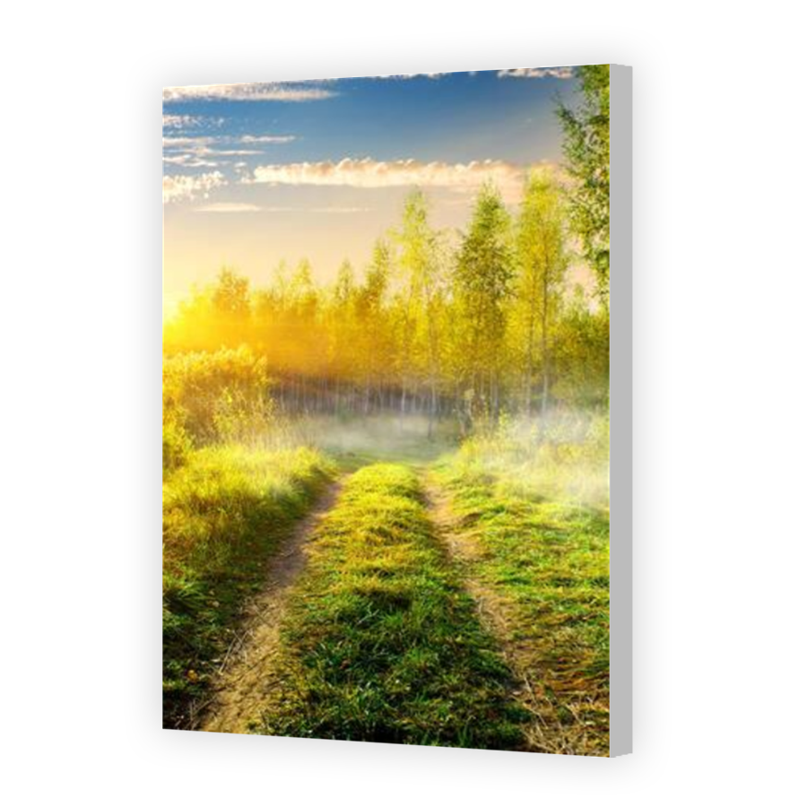 Thumbnail for Canvas - Coloured Canvas Wrap