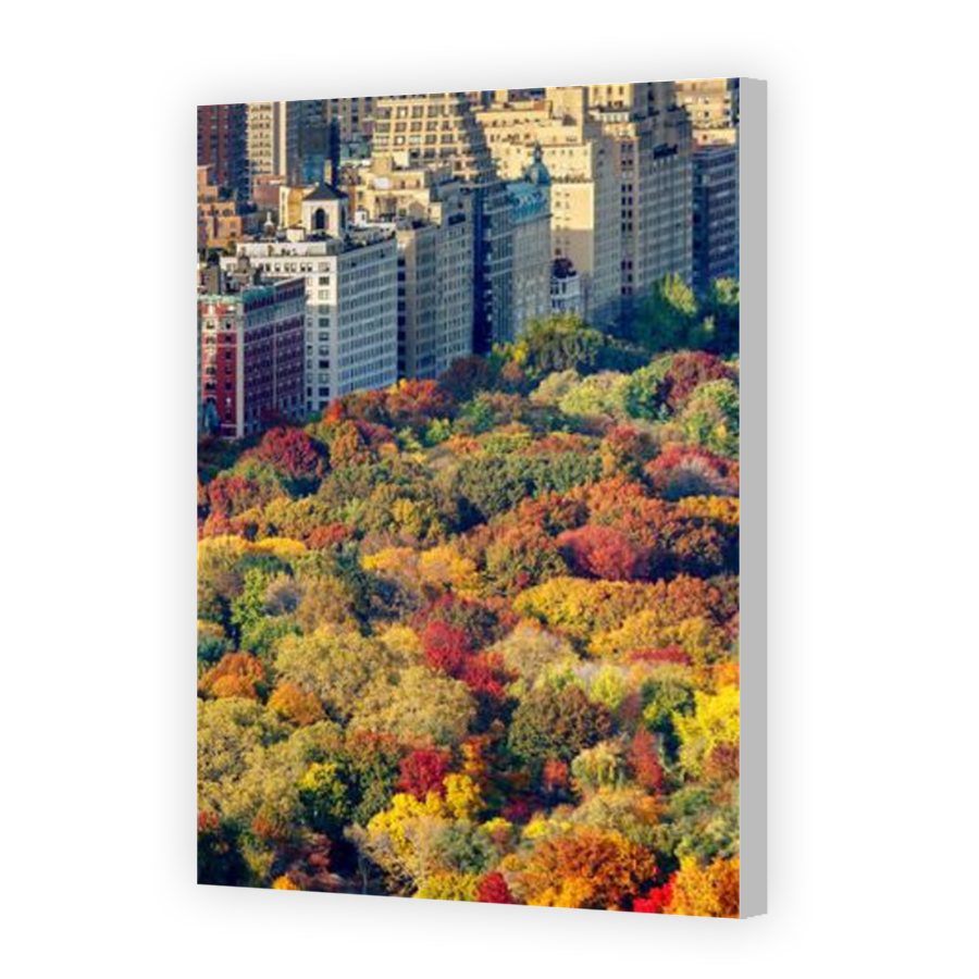 Thumbnail for Canvas - Coloured Canvas Wrap