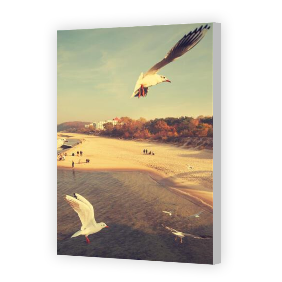 Thumbnail for Canvas - Coloured Canvas Wrap