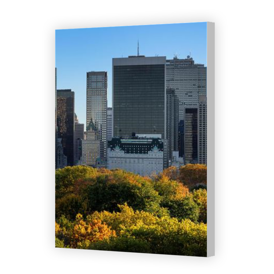 Thumbnail for Canvas - Coloured Canvas Wrap