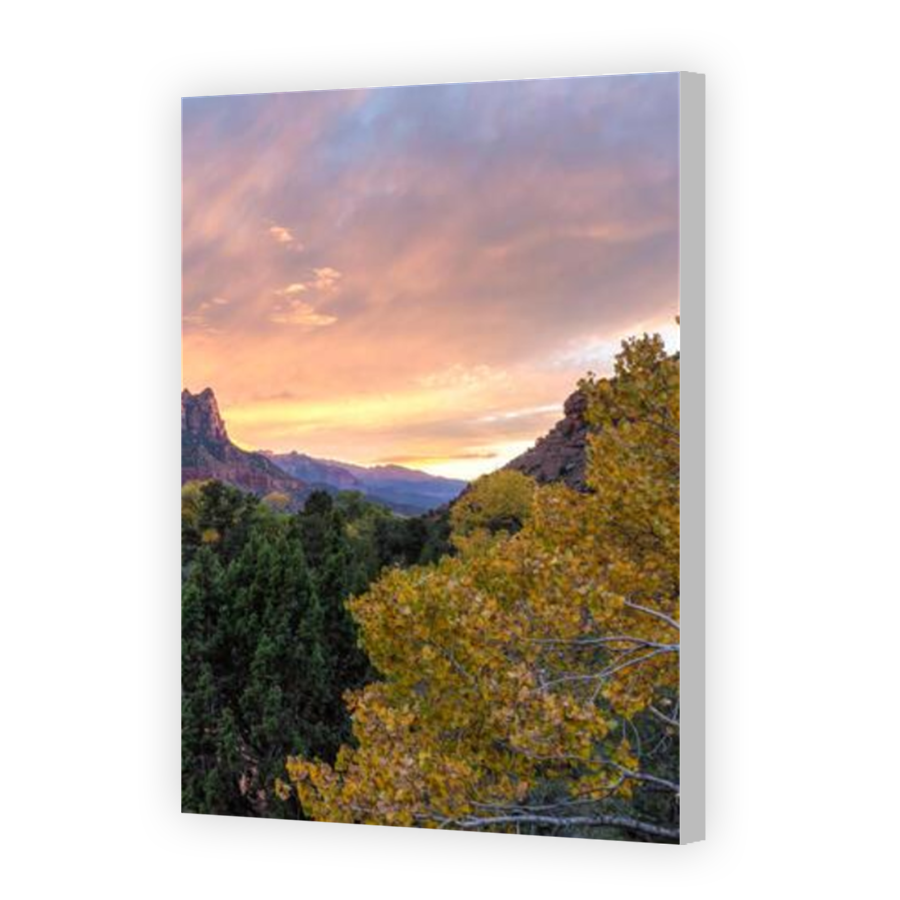 Thumbnail for Canvas - Coloured Canvas Wrap