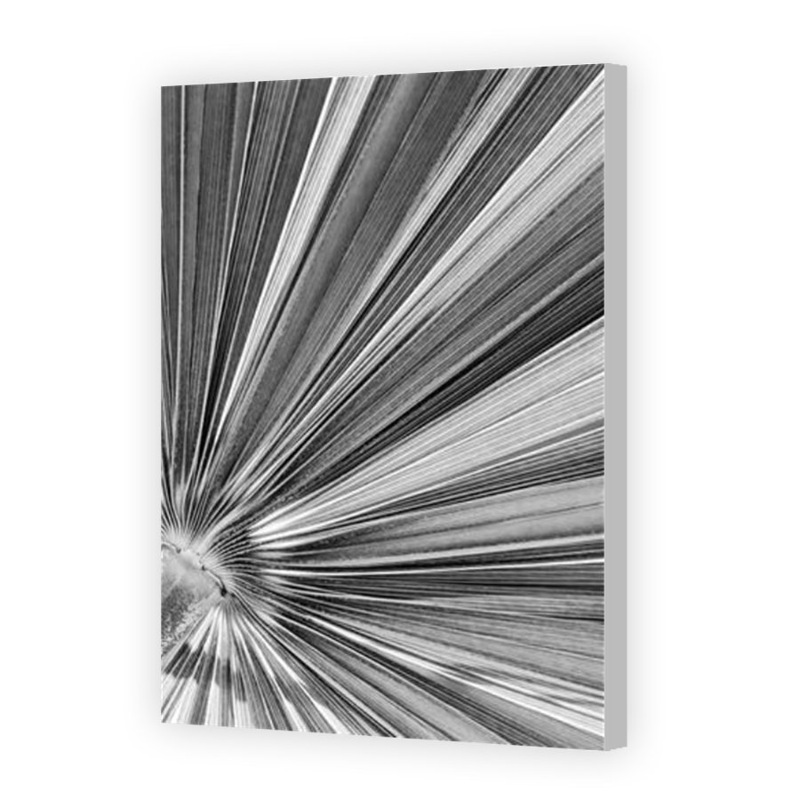 Thumbnail for Canvas - Coloured Canvas Wrap