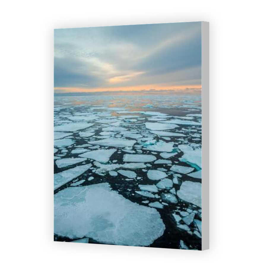 Thumbnail for Canvas - Coloured Canvas Wrap