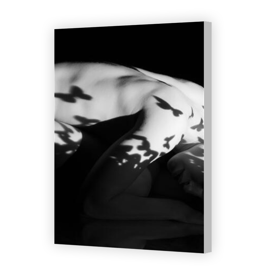 Thumbnail for Canvas - Coloured Canvas Wrap