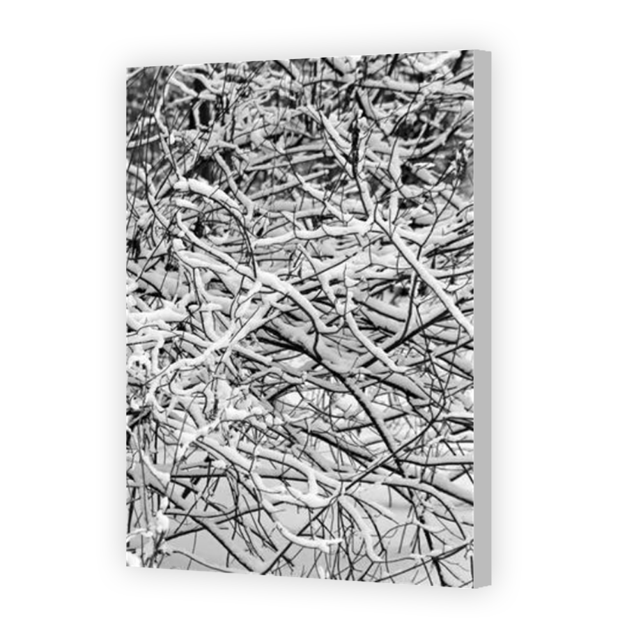 Thumbnail for Canvas - Coloured Canvas Wrap