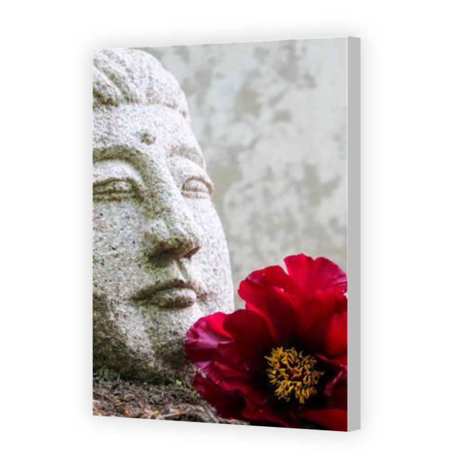 Thumbnail for Canvas - Coloured Canvas Wrap