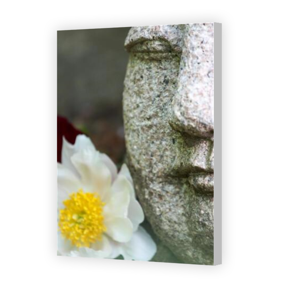 Thumbnail for Canvas - Coloured Canvas Wrap