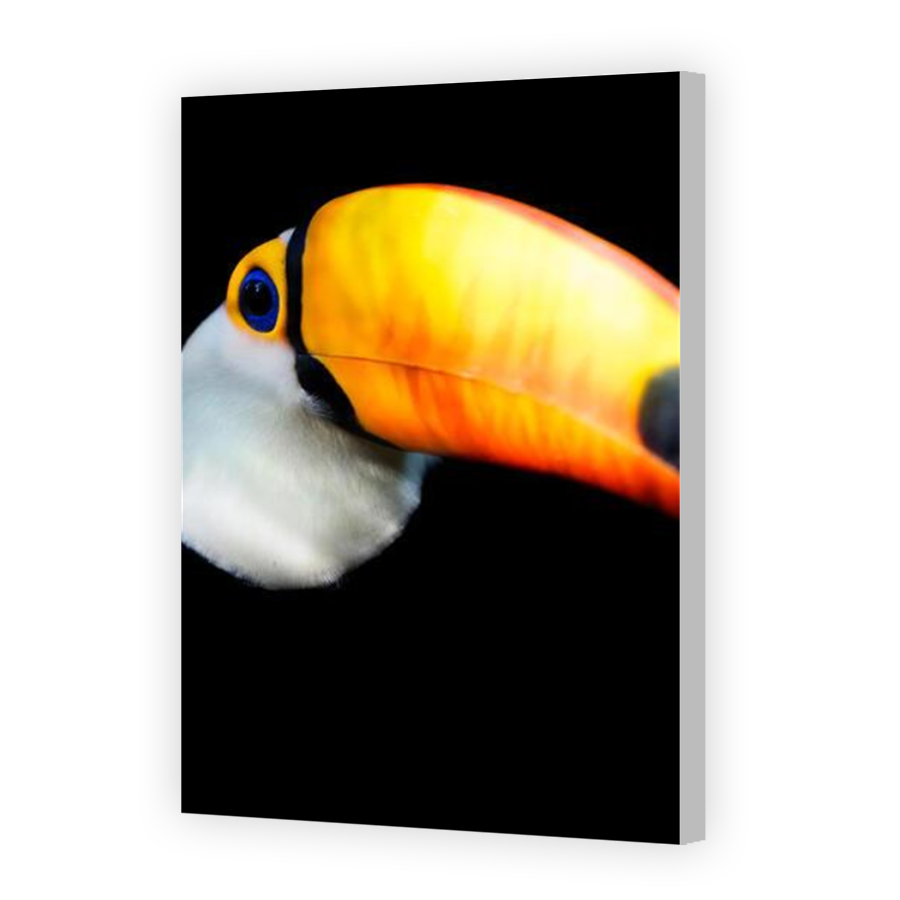 Thumbnail for Canvas - Coloured Canvas Wrap