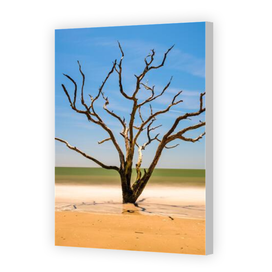 Thumbnail for Canvas - Coloured Canvas Wrap