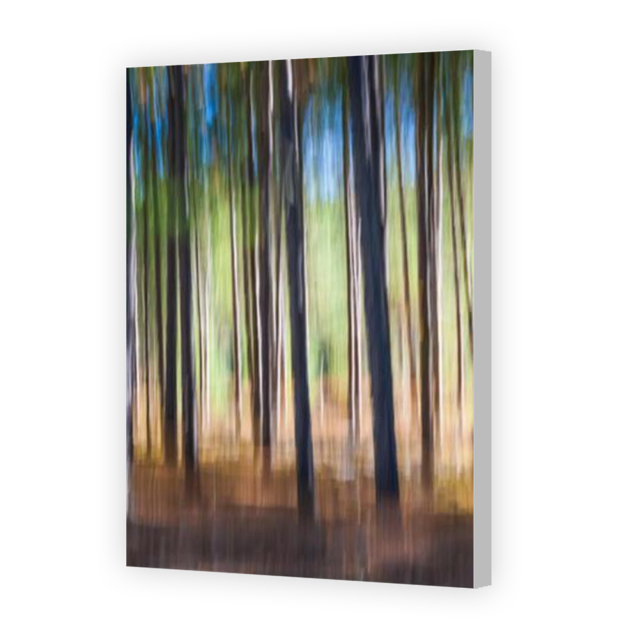Thumbnail for Canvas - Coloured Canvas Wrap