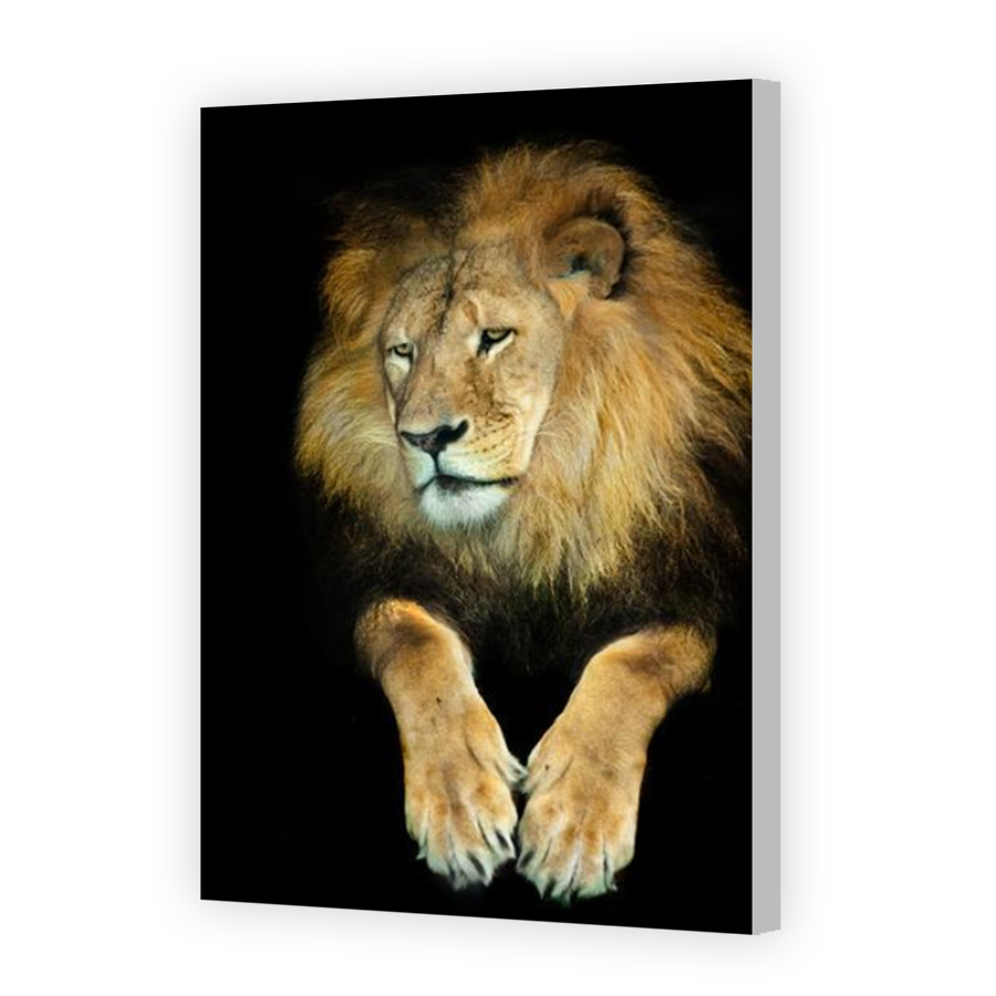 Thumbnail for Canvas - Coloured Canvas Wrap