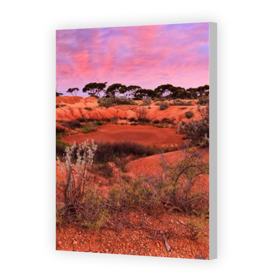 Thumbnail for Canvas - Coloured Canvas Wrap