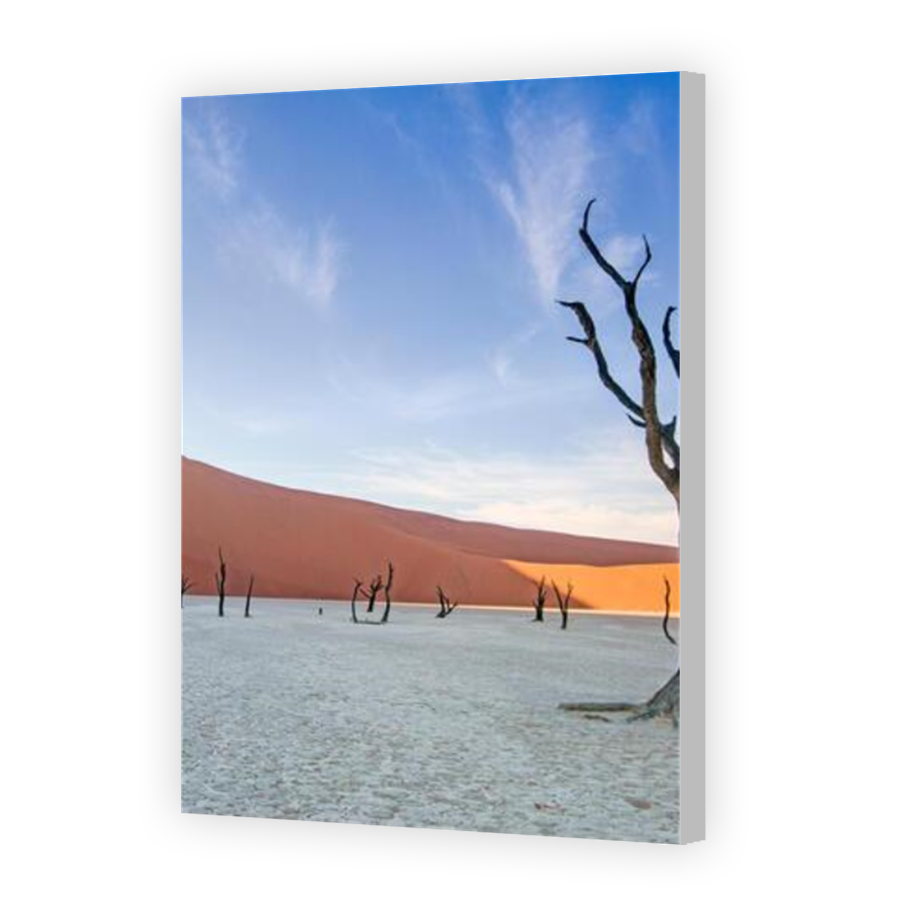 Thumbnail for Canvas - Coloured Canvas Wrap