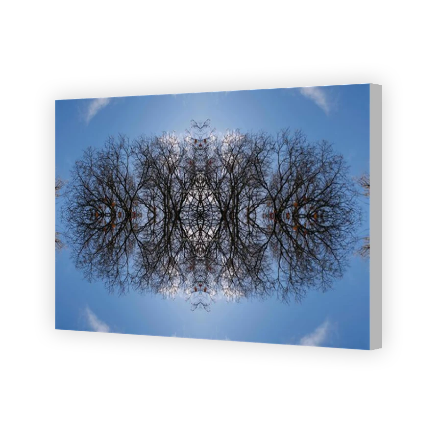 Thumbnail for Canvas - Coloured Canvas Wrap