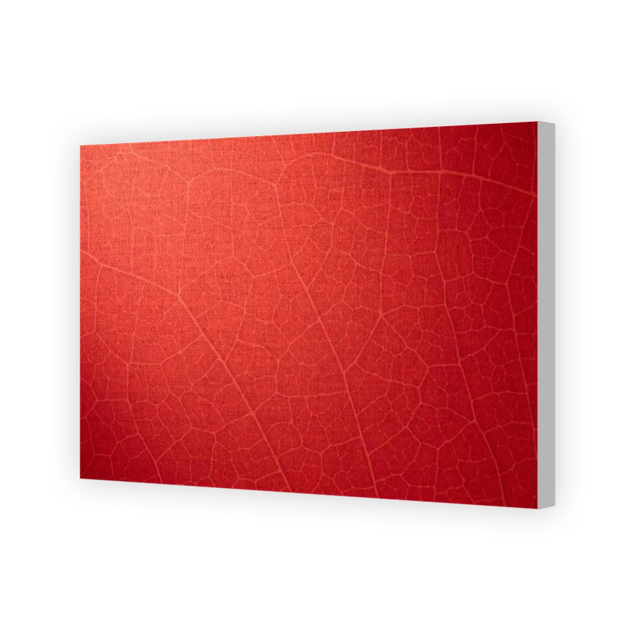 Thumbnail for Canvas - Coloured Canvas Wrap