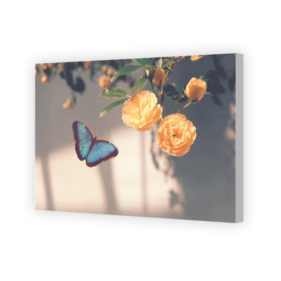 Thumbnail for Canvas - Coloured Canvas Wrap