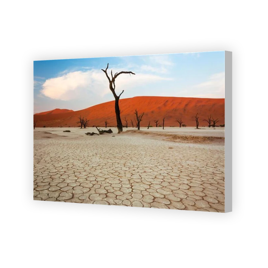 Thumbnail for Canvas - Coloured Canvas Wrap
