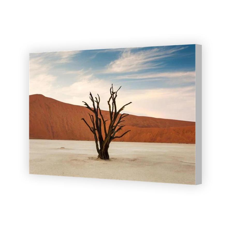 Thumbnail for Canvas - Coloured Canvas Wrap