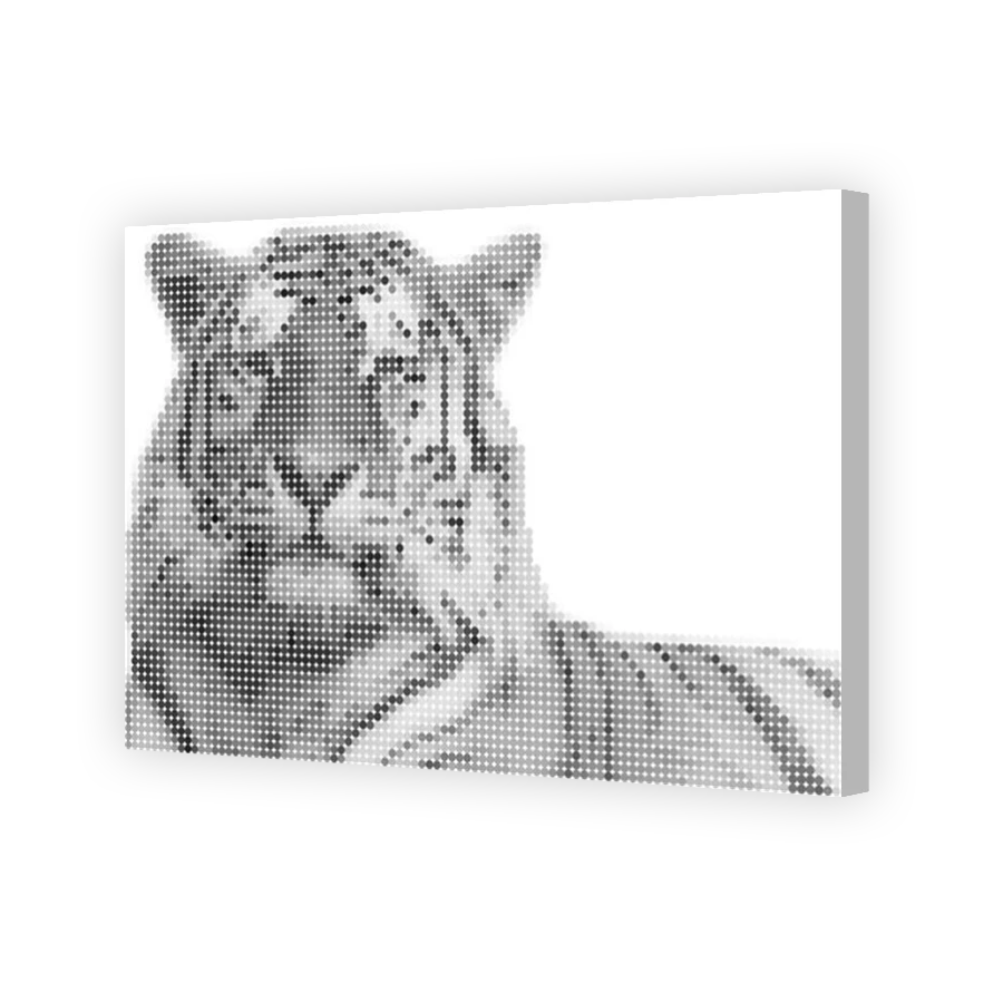 Thumbnail for Canvas - Coloured Canvas Wrap