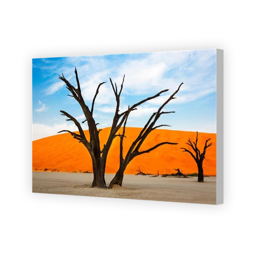 Thumbnail for Canvas - Coloured Canvas Wrap