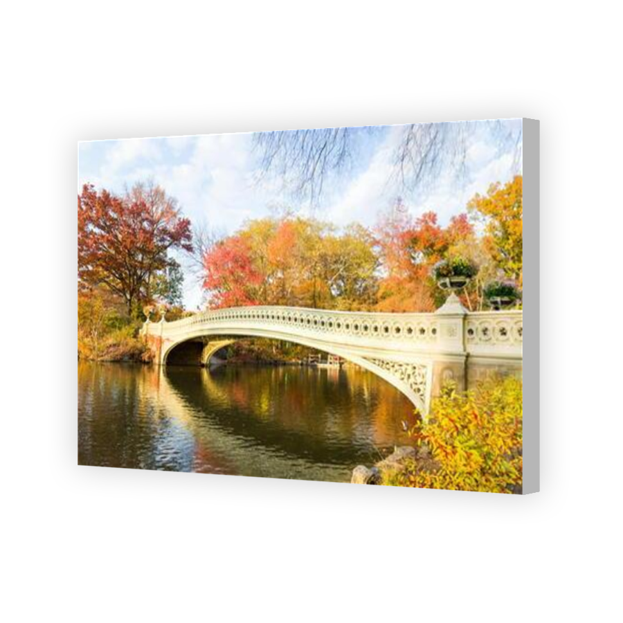 Thumbnail for Canvas - Coloured Canvas Wrap