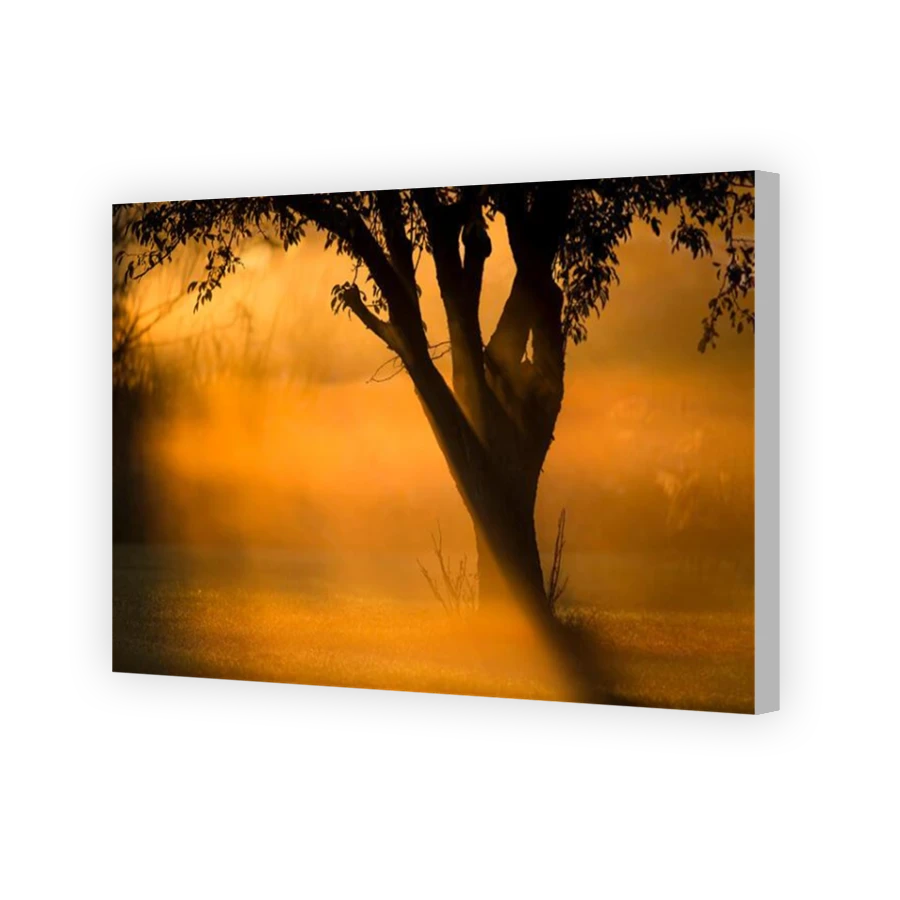 Thumbnail for Canvas - Coloured Canvas Wrap