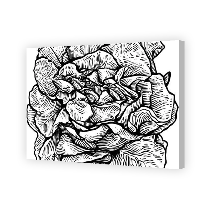 Thumbnail for Canvas - Coloured Canvas Wrap