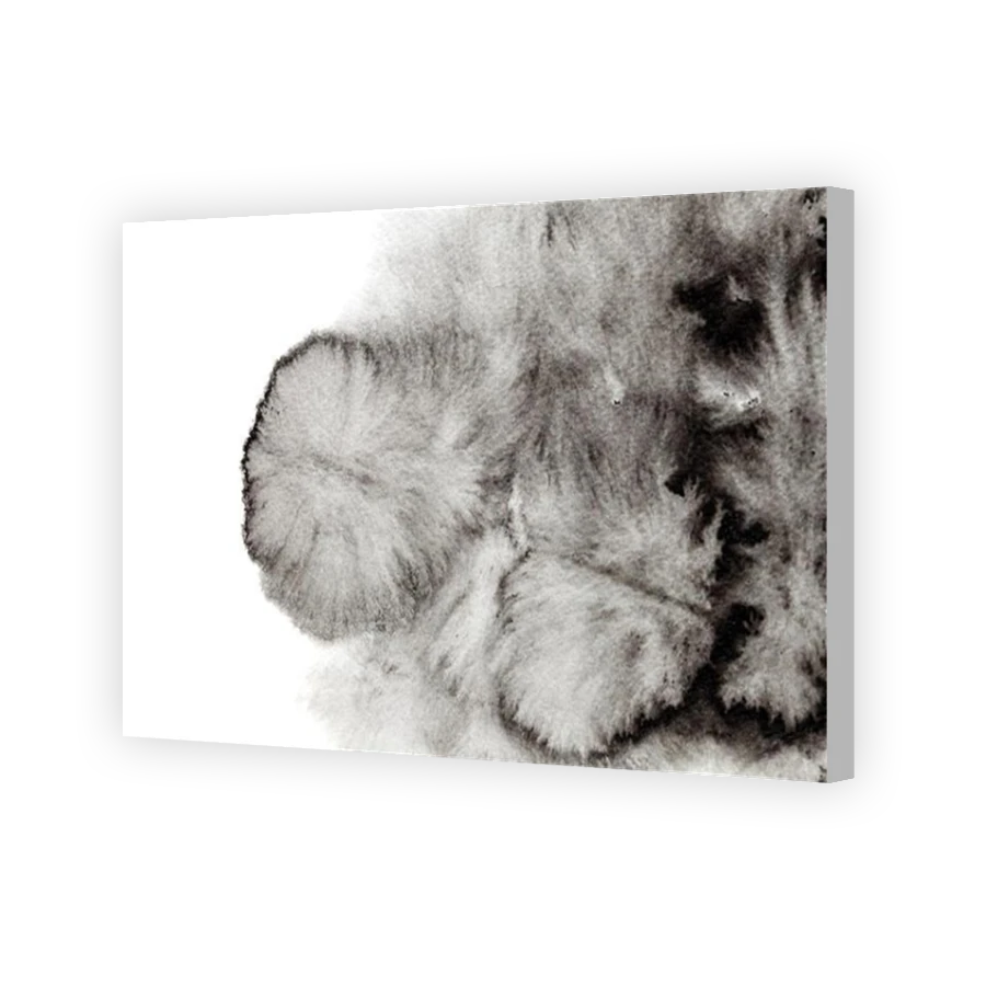 Thumbnail for Canvas - Coloured Canvas Wrap