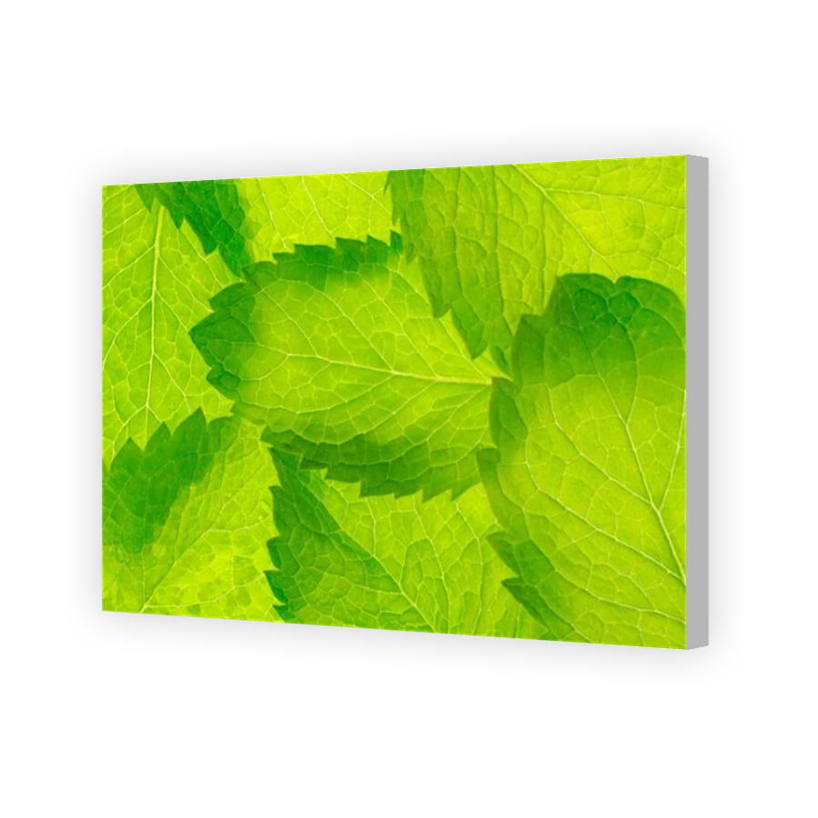 Thumbnail for Canvas - Coloured Canvas Wrap