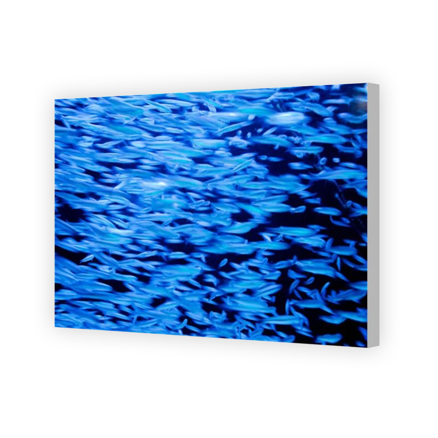 Thumbnail for Canvas - Coloured Canvas Wrap