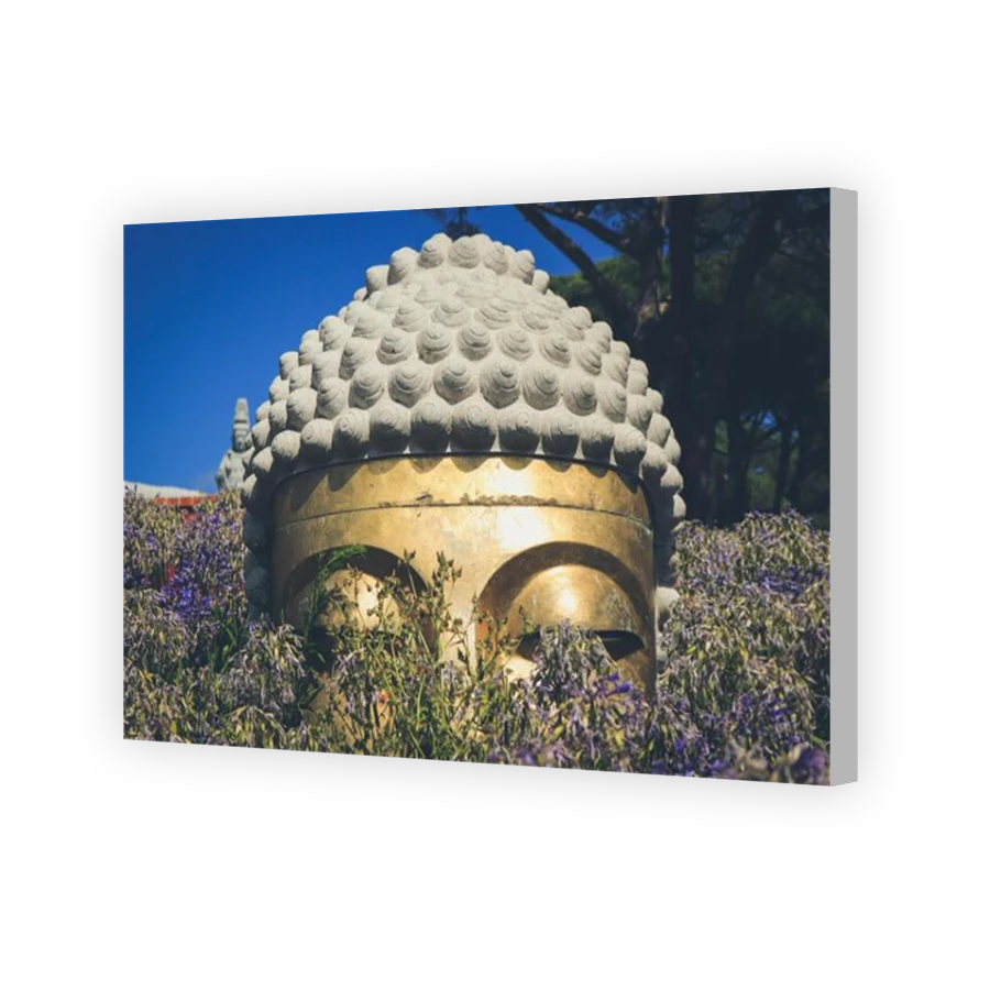 Thumbnail for Canvas - Coloured Canvas Wrap