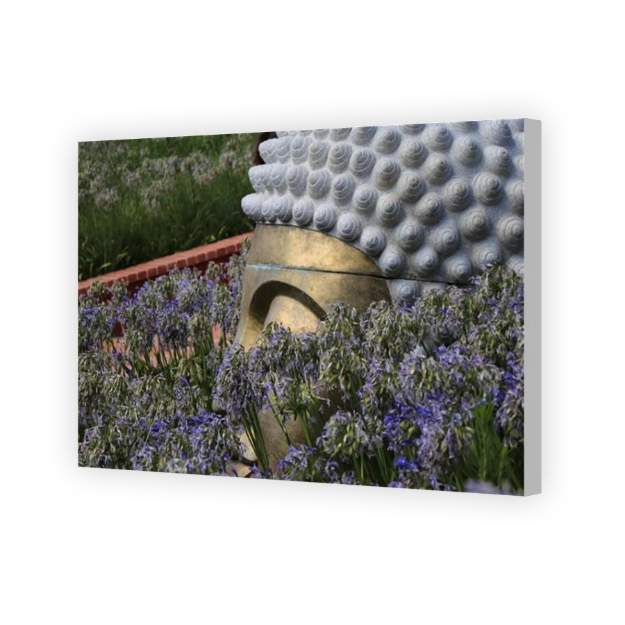 Thumbnail for Canvas - Coloured Canvas Wrap