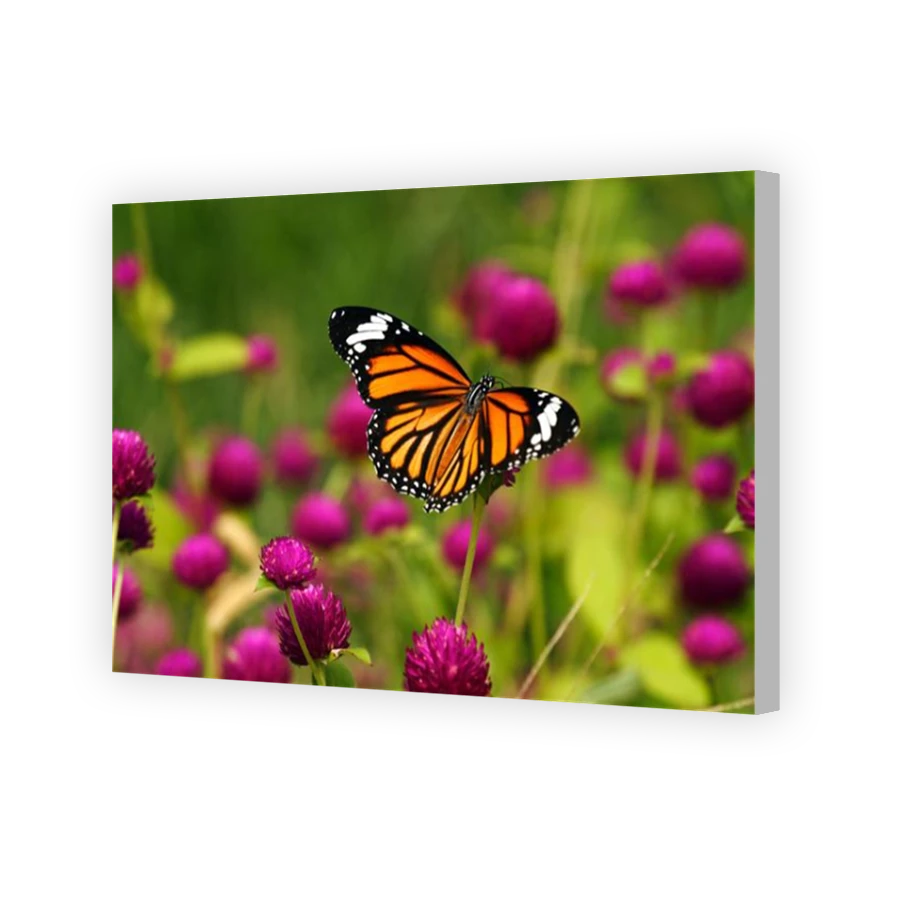 Thumbnail for Canvas - Coloured Canvas Wrap