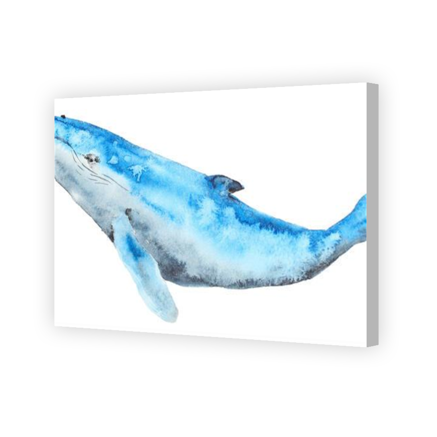 Thumbnail for Canvas - Coloured Canvas Wrap