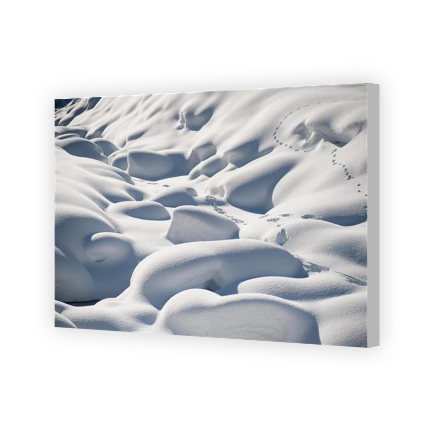 Thumbnail for Canvas - Coloured Canvas Wrap