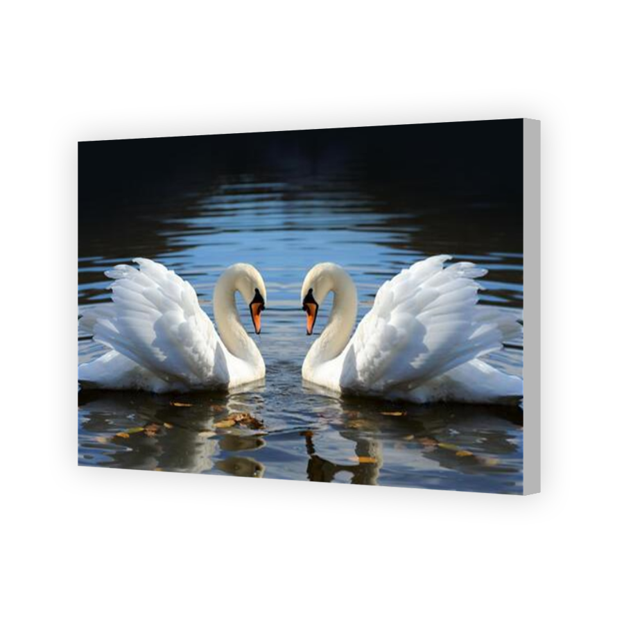 Thumbnail for Canvas - Coloured Canvas Wrap