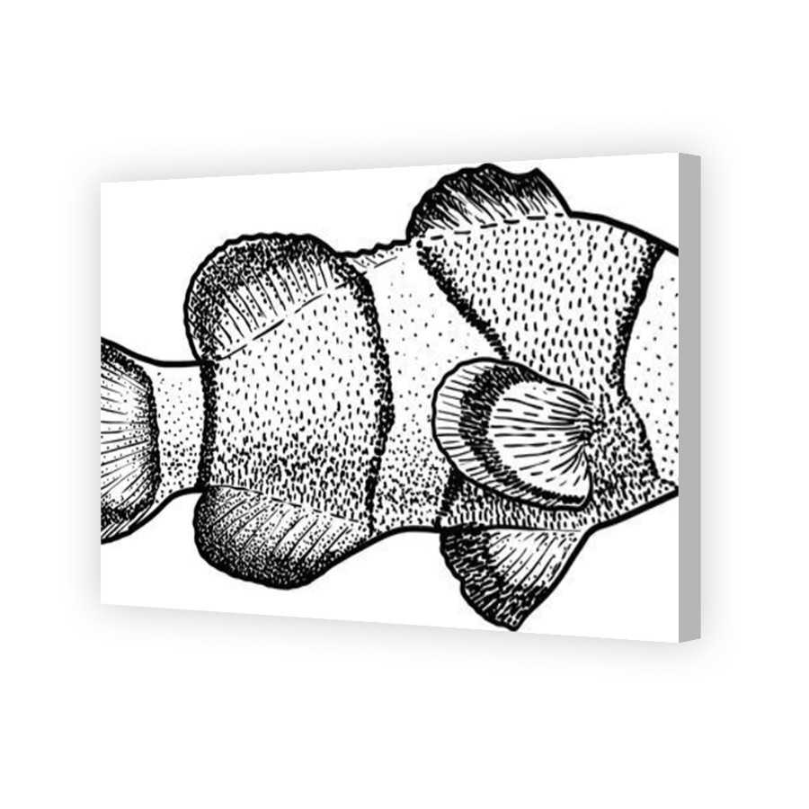 Thumbnail for Canvas - Coloured Canvas Wrap