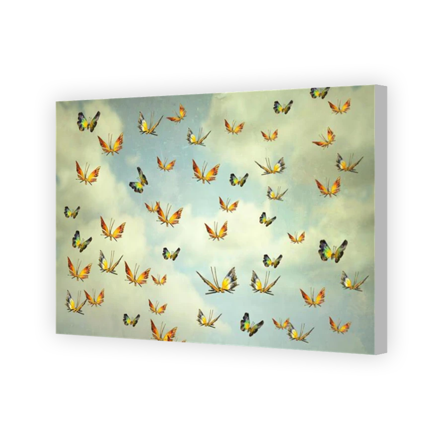 Thumbnail for Canvas - Coloured Canvas Wrap