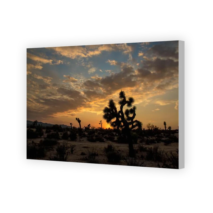 Thumbnail for Canvas - Coloured Canvas Wrap