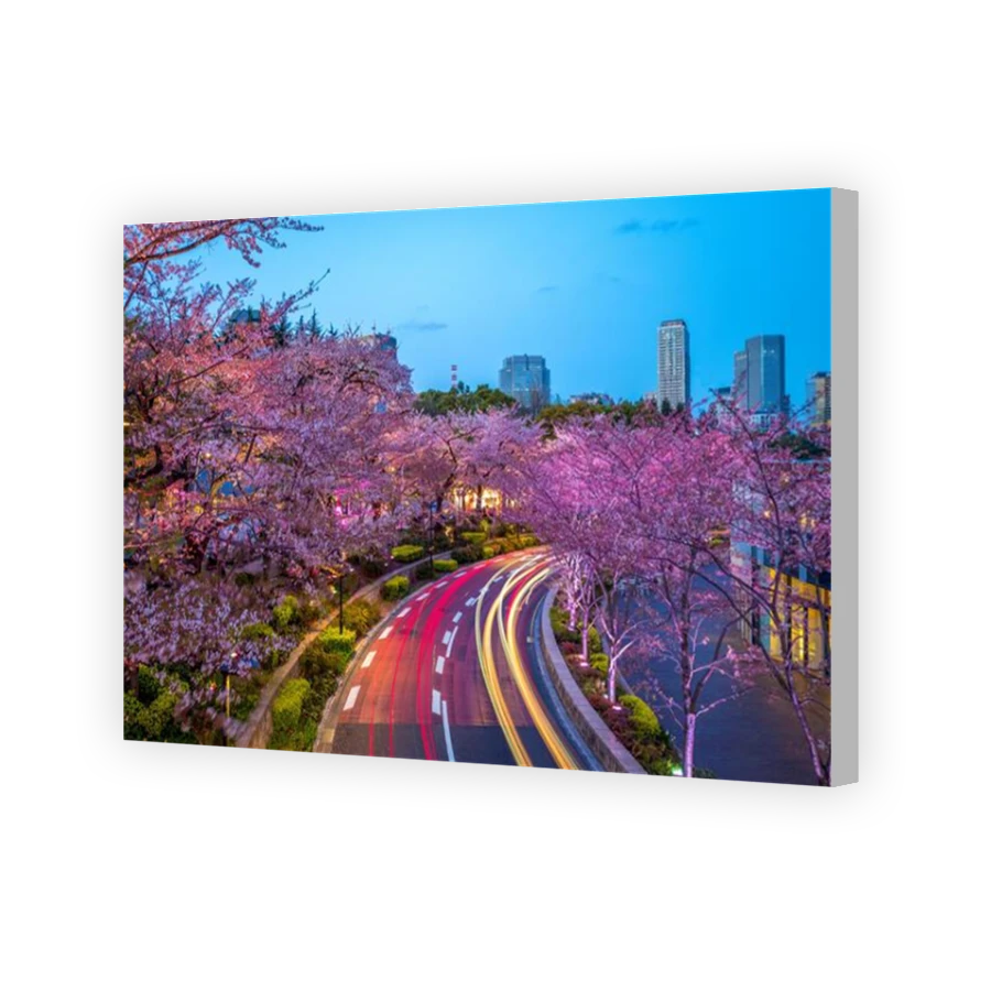 Thumbnail for Canvas - Coloured Canvas Wrap