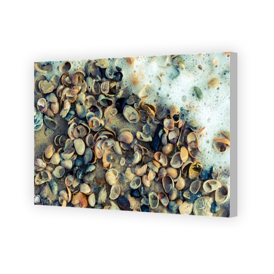 Thumbnail for Canvas - Coloured Canvas Wrap