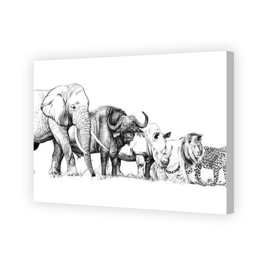 Thumbnail for Canvas - Coloured Canvas Wrap