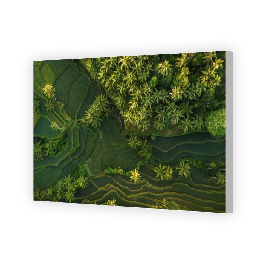 Thumbnail for Canvas - Coloured Canvas Wrap