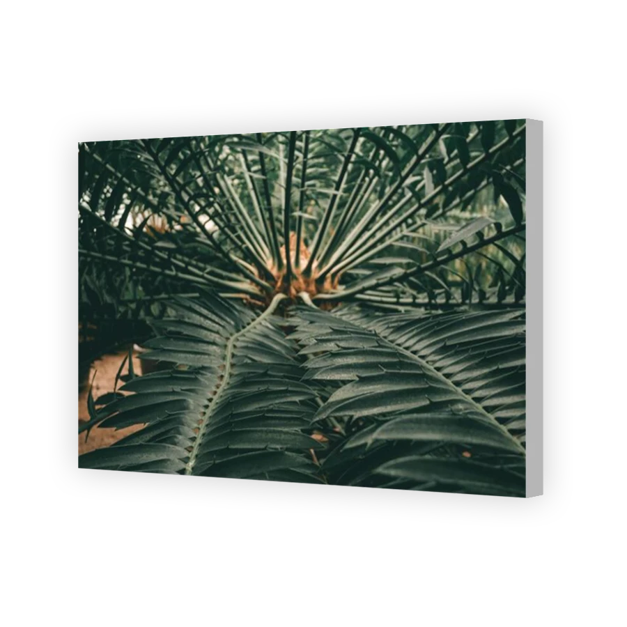 Thumbnail for Canvas - Coloured Canvas Wrap