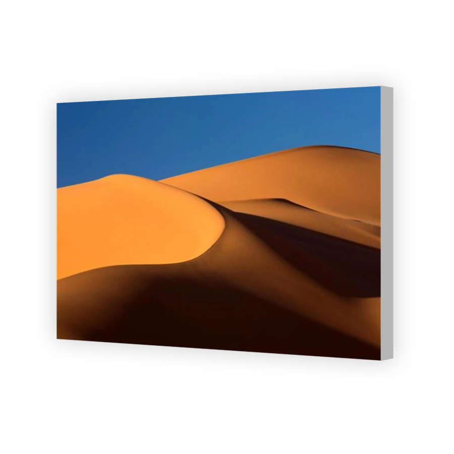 Thumbnail for Canvas - Coloured Canvas Wrap